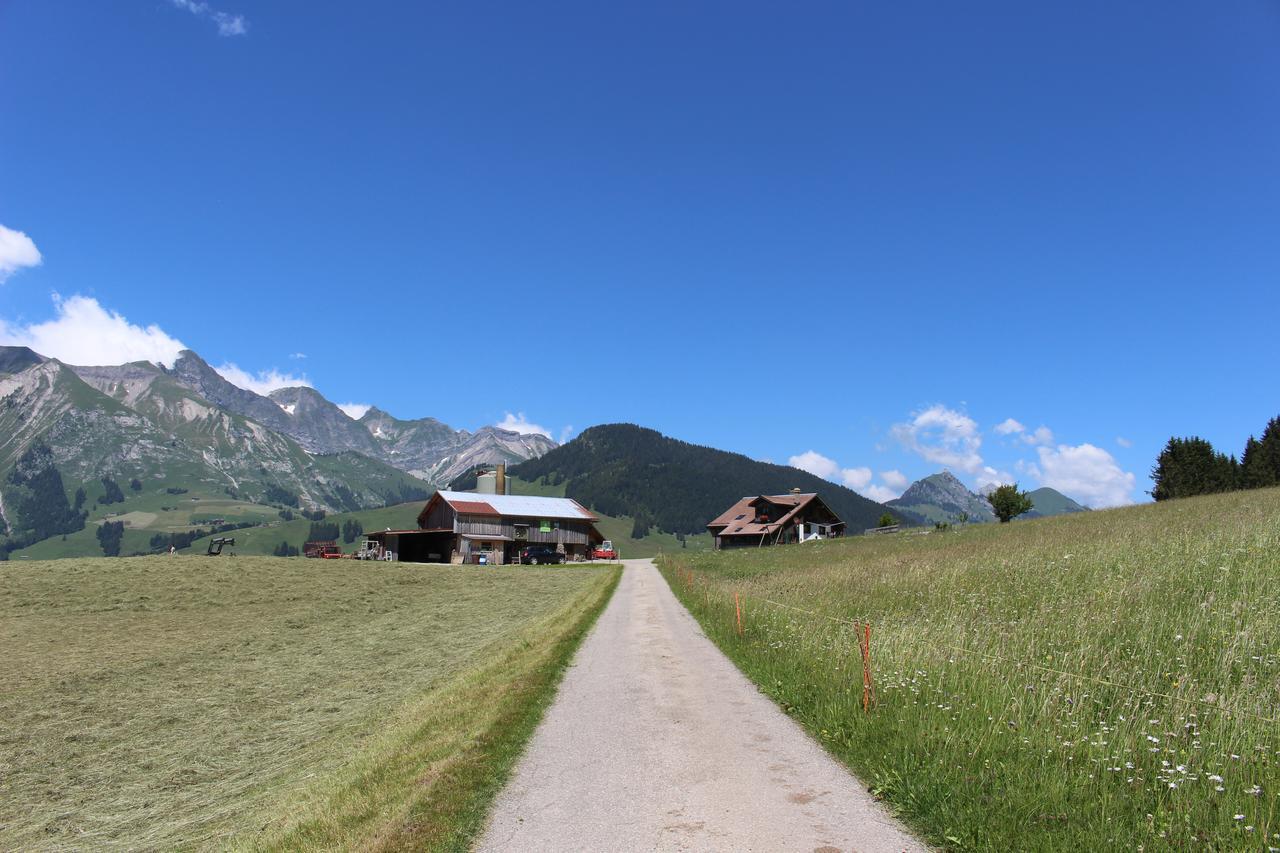 Apartmán Les Mourriaux Chateau-d'Oex Exteriér fotografie